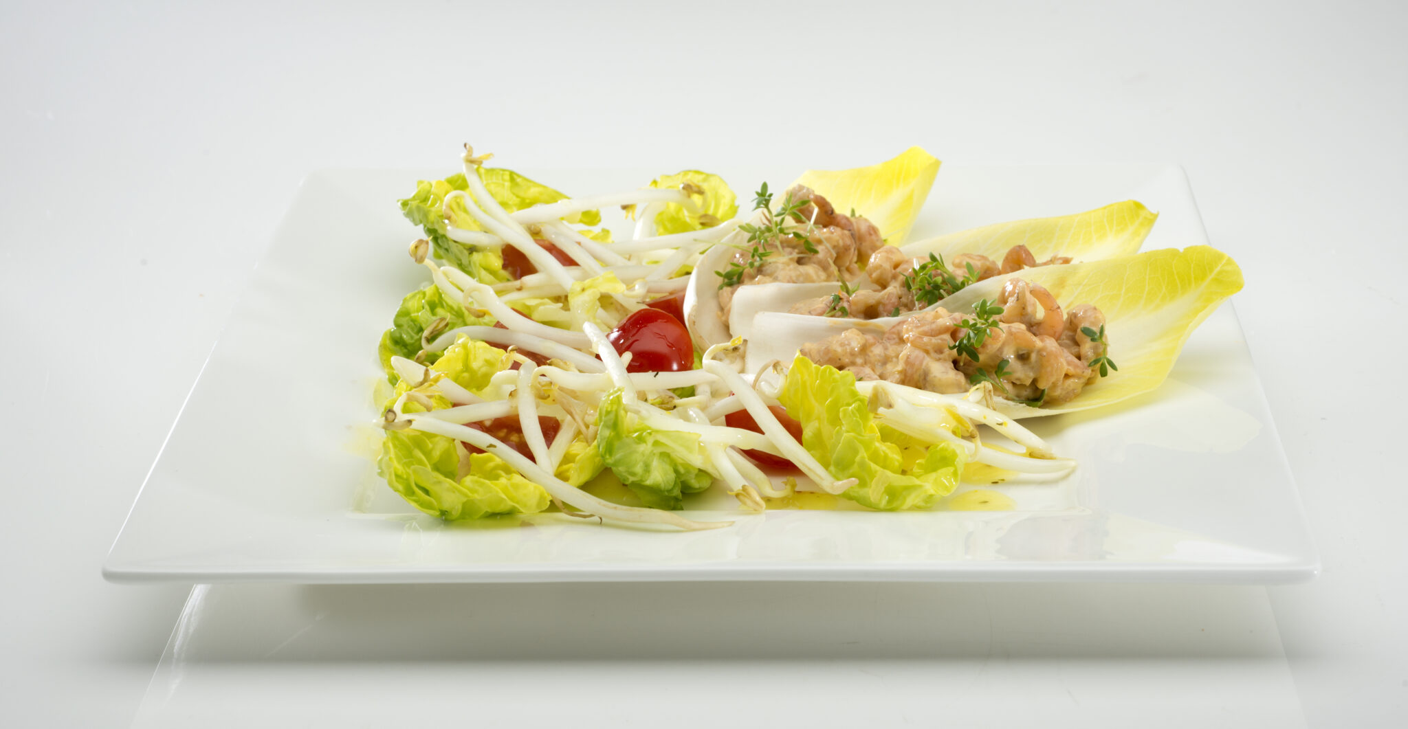 Witlofsalade met taugé en garnalen