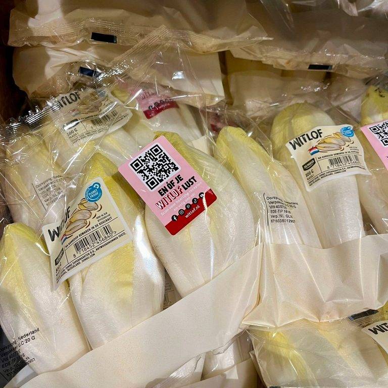 witlof in de supermarkt