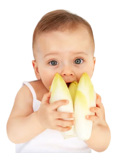 Babywitlof Babywitlof